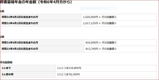 障害基礎年金額_コピー