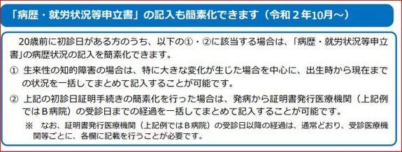 知的障害病歴就労状況等申立書_コピー